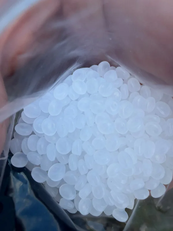 LDPE off-grade pellets in an open plastic bag